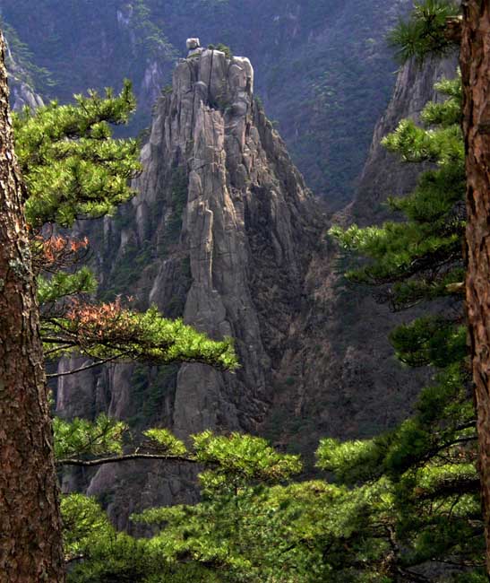 Chinese Mountain and Trees