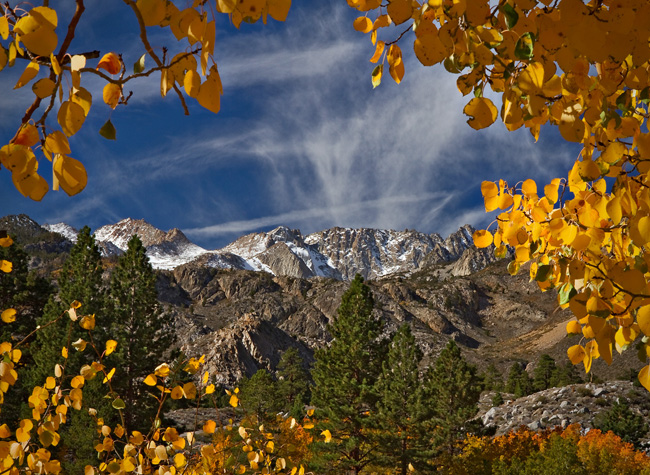 Mountains Framed by Golden Leaves