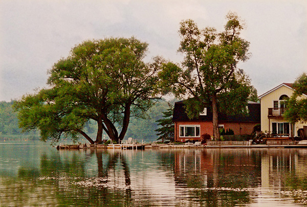 Tree and houses reflected in lake
