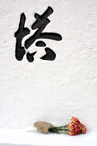 Japanese text on a white wall with red flowers beneath