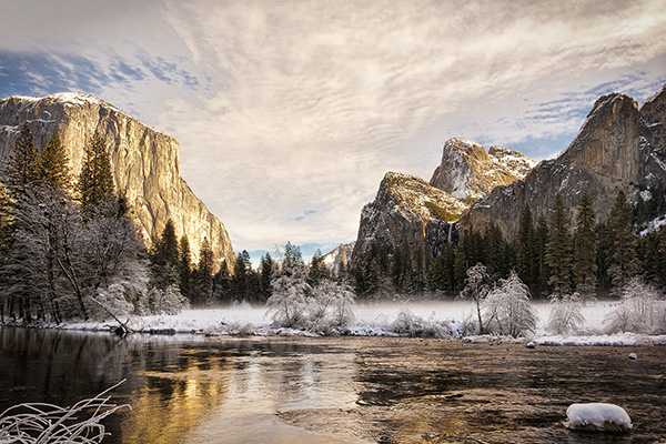 Eary morning, looking across Merced River, with frosty trees