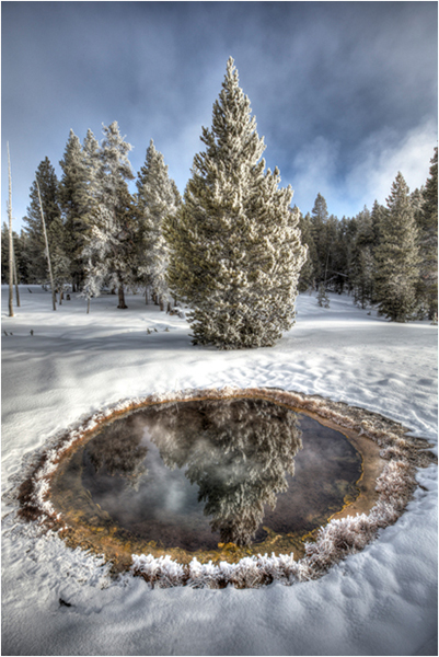Evergreen Tree in Snowy Landscape Reflected in a Crater